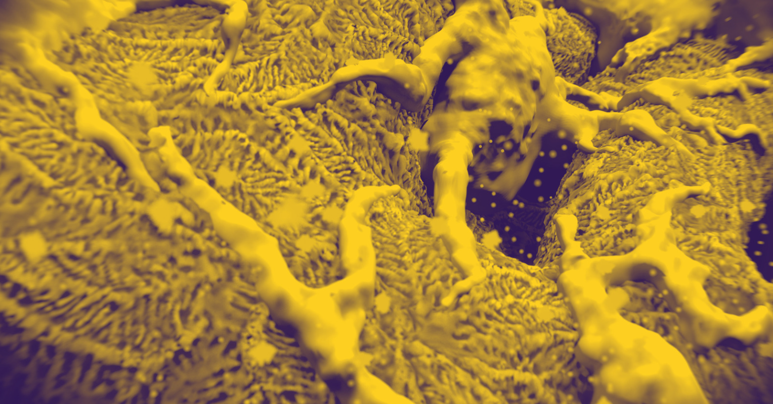 International Podocyte Conference Research Achievement Awards